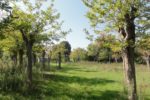 Ośrodek kolonijny w Rimini - park prywatny